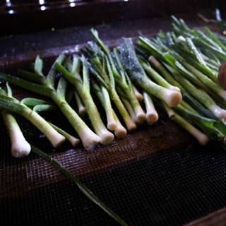 Fresh Green Onions from the Garden