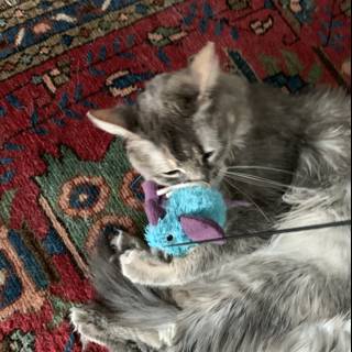 Playtime with Purr-fect Accessories