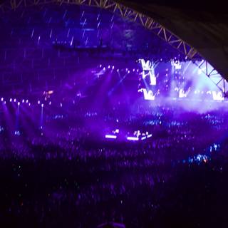Purple Haze Concert