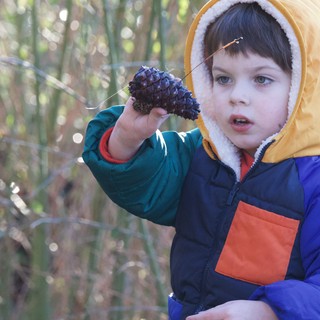Young Child Discovers Pine Cone in Winter Forest