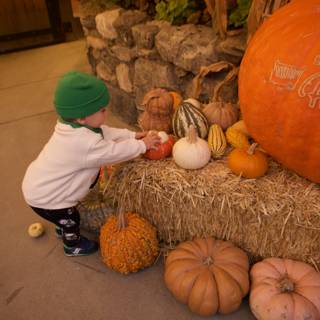 Autumn's Harvest: Wesley's Pumpkin Adventure