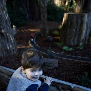 Enchanted Exploration at Thistlewyck