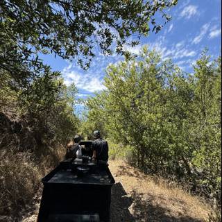 Exploring the Verdant Trails