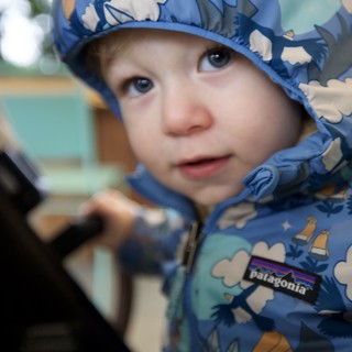 Young Child in Blue Patagonia Winter Jacket