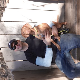 Man and Dog Relaxing on Wooden Bench