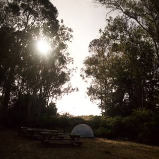 Sunny Retreat in the Presidio Wilderness