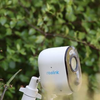 Reolink Security Camera Mounted in Garden Setting