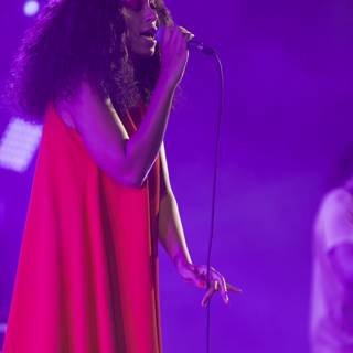 Solange Shines in Red Dress at FYF Festival Solo Performance