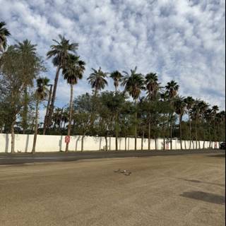 Desert Serenity at Empire Polo Club