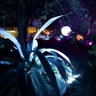 Moonlit Agave Fantasy