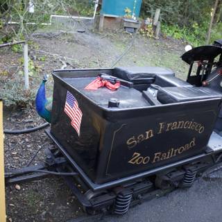 Vivid Rendezvous with the Miniature Train at SF Zoo, November 2023