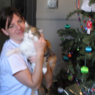 Woman Cuddles Calico Cat by Christmas Tree