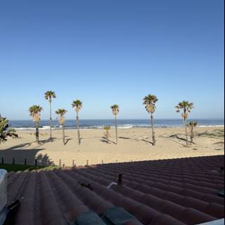 Tranquil Morning at Oxnard Beach