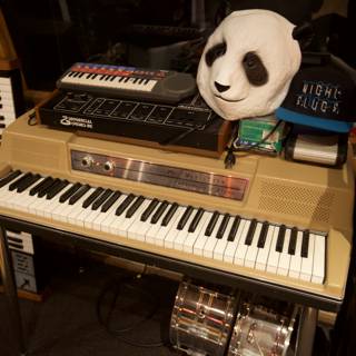 Panda Jam Session