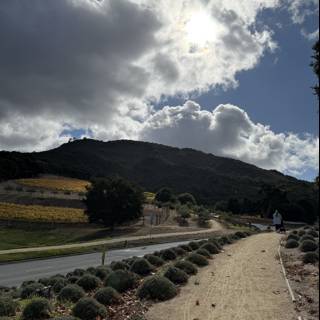 Stroll Through Carmel's Cloudy Countryside