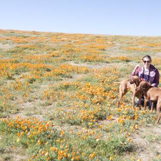Blooming Adventure with Furry Friends
