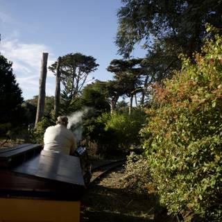 The Enchanting Forest Railway Ride