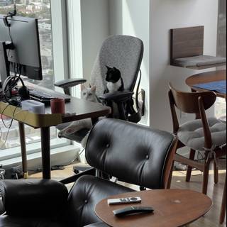 Sleek Black Leather Armchair in a Modern Living Room