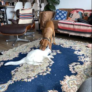 Playful Pets in the Living Room