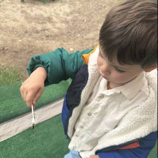 Exploring Nature's Wonders