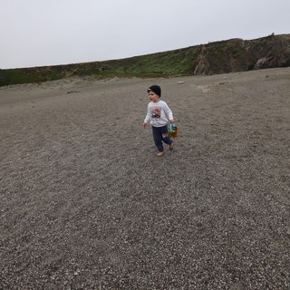 Young Explorer Walking on a Misty Beach