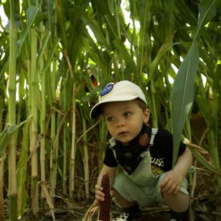 Bucolic Days: Wesley in the Cornfield