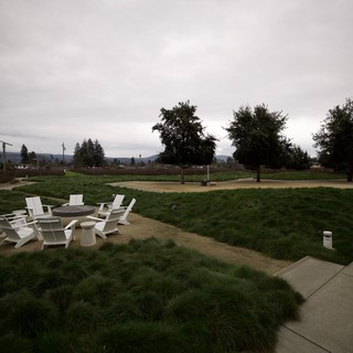 Tranquil Fire Pit Gathering Space on Overcast Day