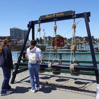 Interactive Block and Tackle Physics Demonstration