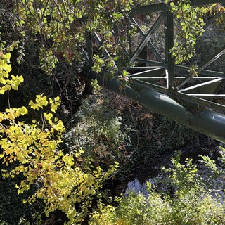 Abandoned Industrial Structure Reclaimed by Nature
