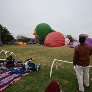 Hot Air Balloons Inflating at Sonoma County Classic