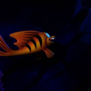 Discovering Nemo's Lost World