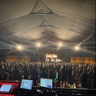 Electric Vibes Under the Stars