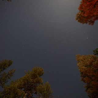 Meteor Streaks Over Lassen's Star-Filled Night Sky