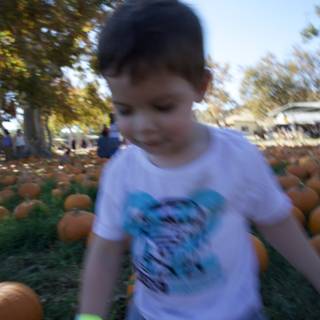 Autumn Adventures