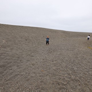 Children Exploring a Vast Gray Sand Dune
