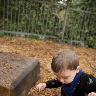 Childhood Playtime in Golden Gate Park: Wesley's Adventures
