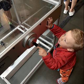 Curious Minds at Play