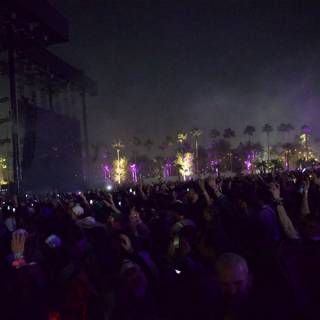 Illuminated Palms and Excited Crowds at Coachella 2024