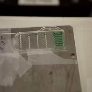 Micro Bio Chip for Data Storage