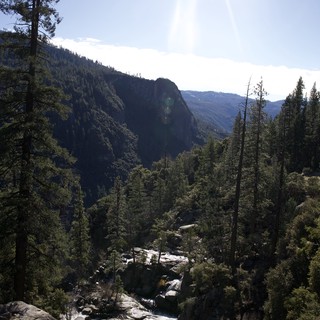 Mountain Stream Through Forested Yosemite Valley