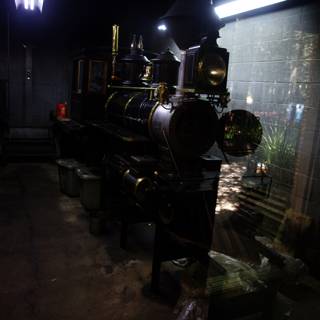 Vintage Train Engine at Tilden Park