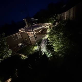 Evening Glow in the Urban Garden