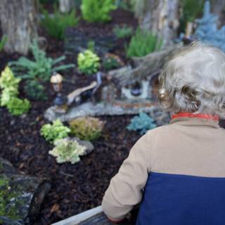 Wonder in the Woodland
