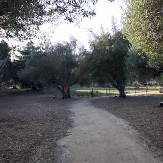 Tranquil Pathway Through Thistlewyck