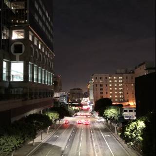 The Bustling Metropolis at Night