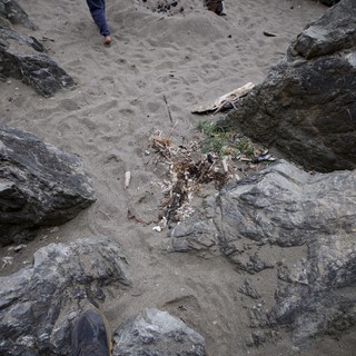 Debris Scattered Between Rocky Beach Outcroppings