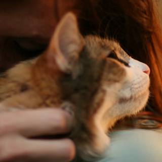 Woman and Abyssinian Cat