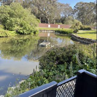 Serene Pond at San Francisco Zoo