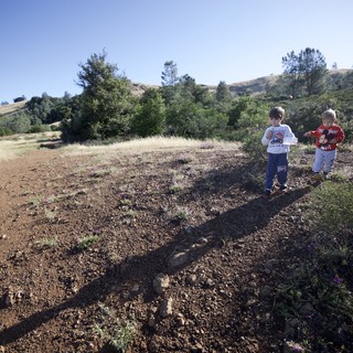 Young Explorers Hiking the Hills of Mount Diablo
