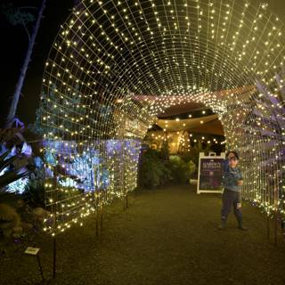 Enchanted Evening in the Garden of D'Lights